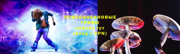 прущие грибы Белоозёрский