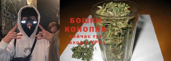 прущие грибы Белоозёрский