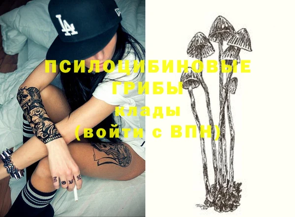 прущие грибы Белоозёрский