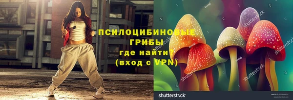 прущие грибы Белоозёрский