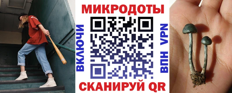 Галлюциногенные грибы Psilocybine cubensis  Юрюзань 
